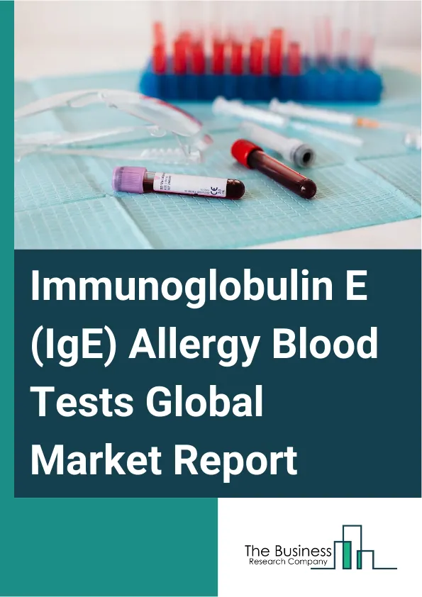 Immunoglobulin E (IgE) Allergy Blood Tests Global Market Report 2025 – By Product Type (Assays And Kits, Enzyme-Linked Immunosorbent Assay (ELISA) Testing Kits, Fluorescent Enzyme Immunoassays (FEIA) Testing Kits, Chemil...