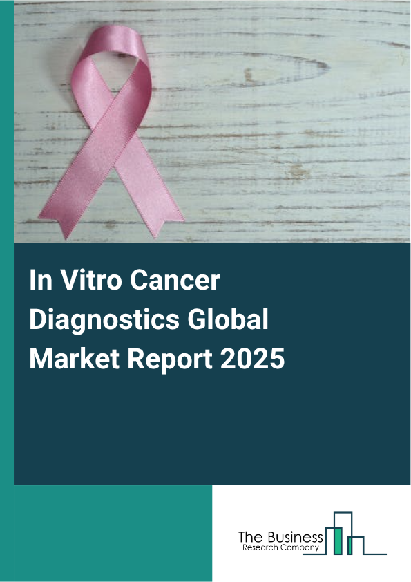 In Vitro Cancer Diagnostics Market Report Infographic Image