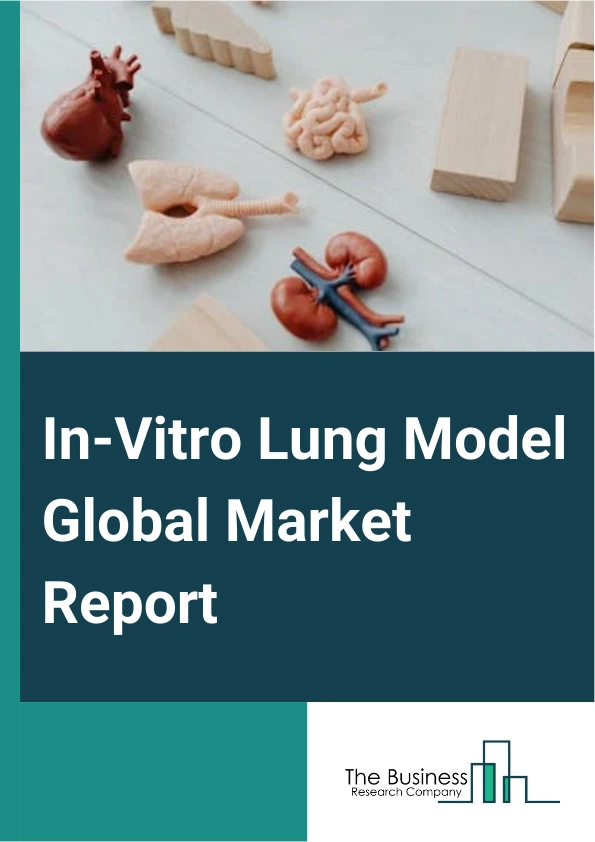 In Vitro Lung Model