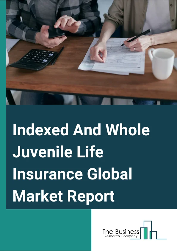 Indexed And Whole Juvenile Life Insurance Global Market Report 2024 – By Type (Survival Insurance, Death Insurance, Full Insurance), By Policy Type (Traditional, Non-Traditional), By Distribution Channel (Direct Distribution, Agency Distribution, Online Distribution), By Application (Below 10 Years Old, 10-18 Years Old) – Market Size, Trends, And Global Forecast 2024-2033