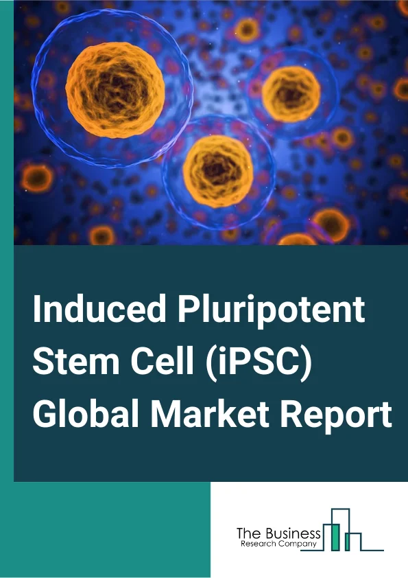 Induced Pluripotent Stem Cell (iPSC) Global Market Report 2024 – By Derived Cell Type (Hepatocytes, Fibroblasts, Keratinocytes, Amniotic Cells, Other Derived Cell Types), By Application (Academic Research, Drug Discovery And Toxicity Studies, Regenerative Medicine, Cell And Gene Therapy), By End-User (Hospitals, Research Laboratories) – Market Size, Trends, And Global Forecast 2024-2033