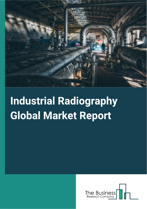 Industrial Radiography Market Size and growth rate 2025 to 2029: Graph