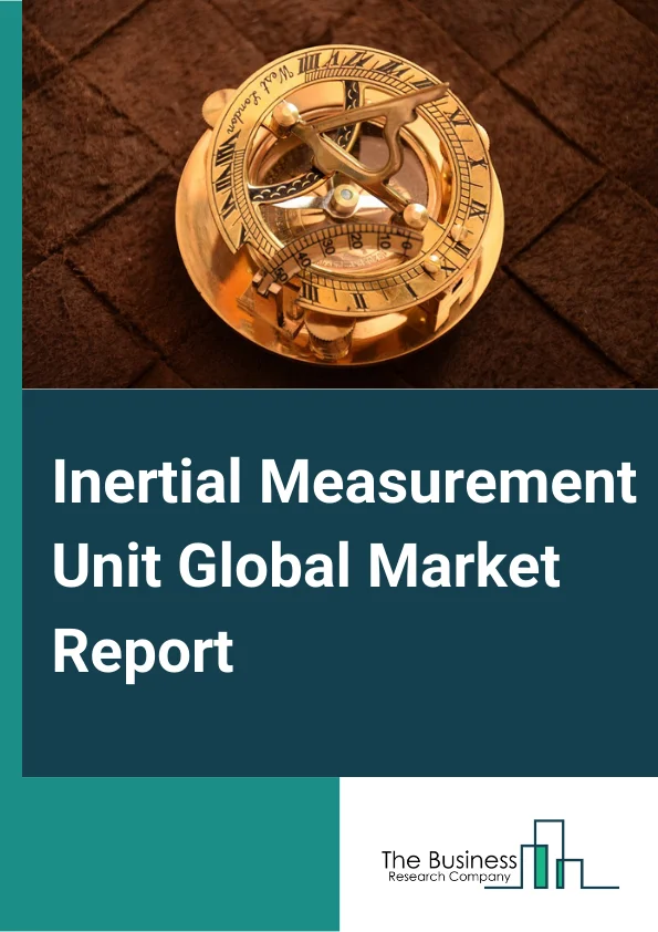 Inertial Measurement Unit