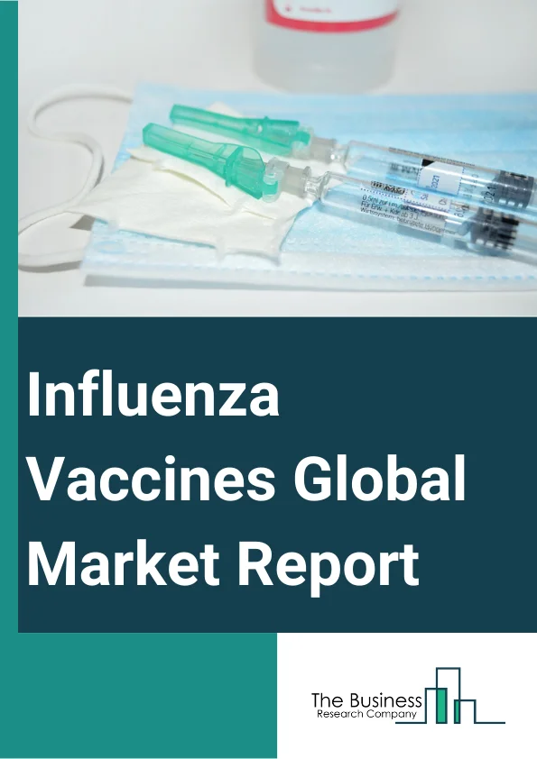 Global Influenza Vaccines Market Report 2025
