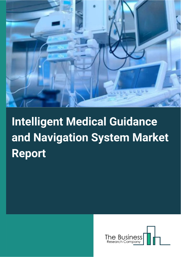 Intelligent Medical Guidance and Navigation System Market Report Infographic Image