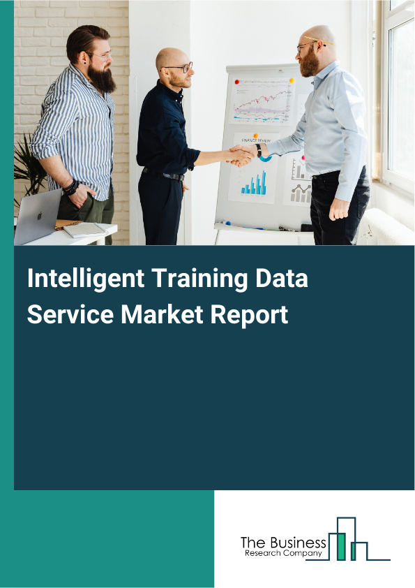 Intelligent Training Data Service Market Report Infographic Image