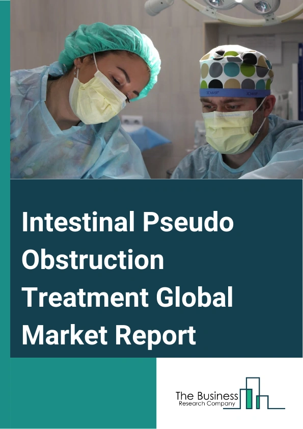 Intestinal Pseudo Obstruction Treatment Global Market Report 2024 – By Condition (Acute, Chronic), By Treatment (Medication, Surgery, Diet, Other Treatment), By Diagnosis (Physical Examination, Biopsy, Blood Test, Gastric Emptying Tests, Imaging Tests, Other Diagnosis), By End User (Hospitals And Clinics, Ambulatory Care Centers, Other End Users) – Market Size, Trends, And Global Forecast 2024-2033