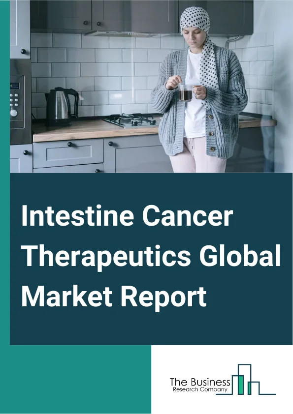 Intestine Cancer Therapeutics Global Market Report 2024 – By Treatment Type (Immunotherapy, Chemotherapy, Other Treatments), By Distribution Channel (Hospital Pharmacy, Online Pharmacy, Retail Pharmacy), By Application (Hospitals, Homecare, Specialty Centers, Other Applications) – Market Size, Trends, And Global Forecast 2024-2033