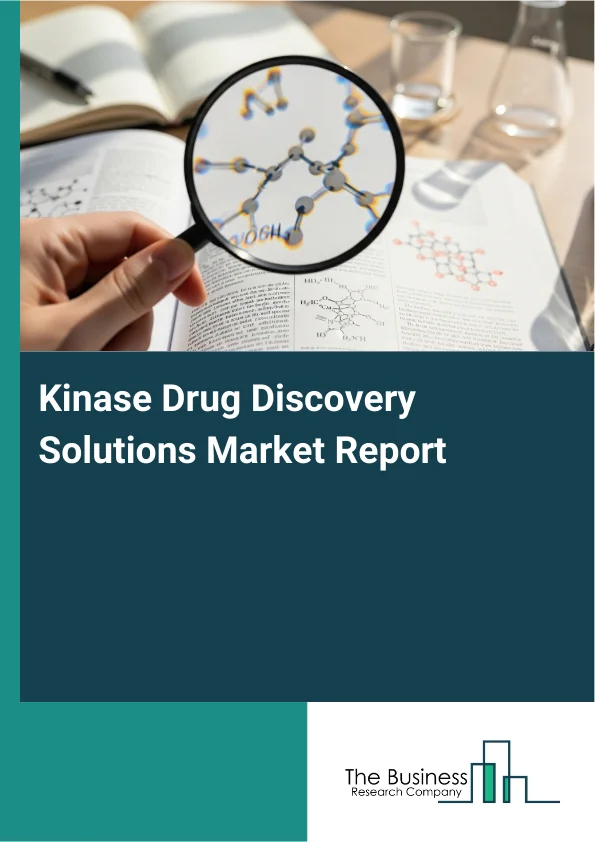 Kinase Drug Discovery Solutions Market Report Infographic Image