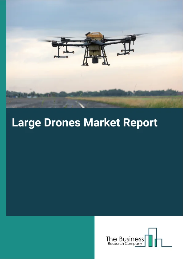 Large Drones Market Report Infographic Image