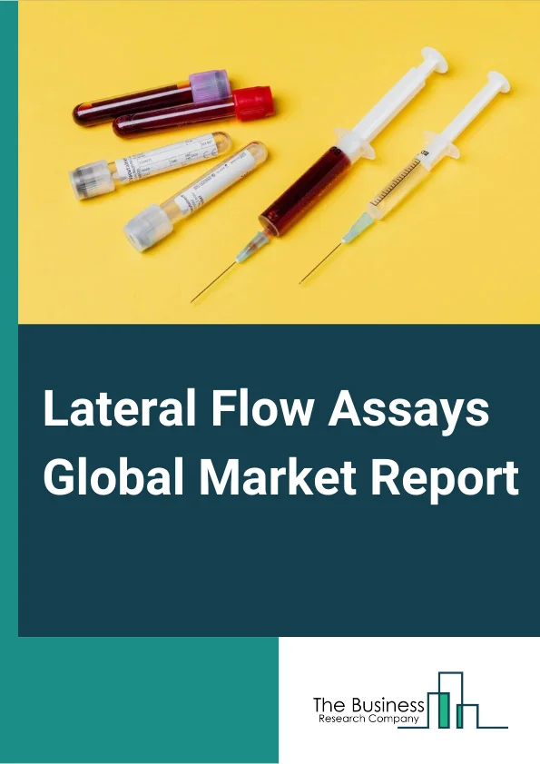 Lateral Flow Assays Global Market Report 2024 – By Type (Kits And Reagents, Lateral Flow Readers), By Technique (Sandwich Assays, Competitive Assays, Multiplex Detection Assays), By Application (Veterinary Diagnostics, Clinical/Point-Of-Care Testing, Drug Development And Quality Testing, Other Applications), By End-User (Hospitals And Clinics, Diagnostic Laboratories, Home Care Settings, Pharmaceutical And Biotechnology Companies, Other End Users) – Market Size, Trends, And Global Forecast 2024-2033