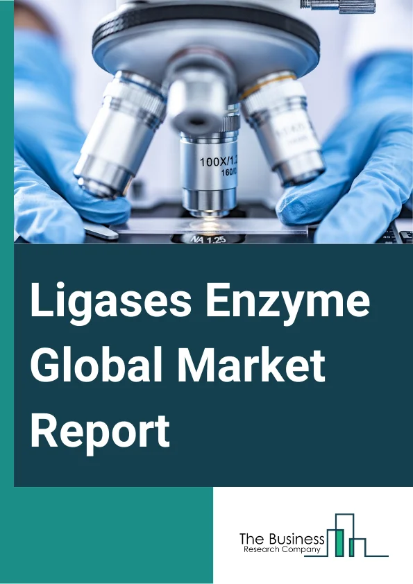 Ligases Enzyme Global Market Report 2025 – By Type (E. coli DNA ligase, T4 DNA Ligase, Mammalian Ligases, Thermostable Ligases), By Source (Microorganisms, Animal, Plant), By Application (Ligase Chain Reaction (LCR), Ligase Detection Reaction (LDR), Next-Generation Sequencing (NGS), Repeat Expansion Detection (RED), Rolling Circle Amplification (RCA), Proximity Ligation Assay (PLA), Molecular Cloning, Ligation Mediated PCR, Mutation Detection ), By End-User (Research Laboratories And Institutions, Pharmaceutical And Biopharmaceutical Companies, Diagnostic Laboratories) – Market Size, Trends, And Global Forecast 2025-2034