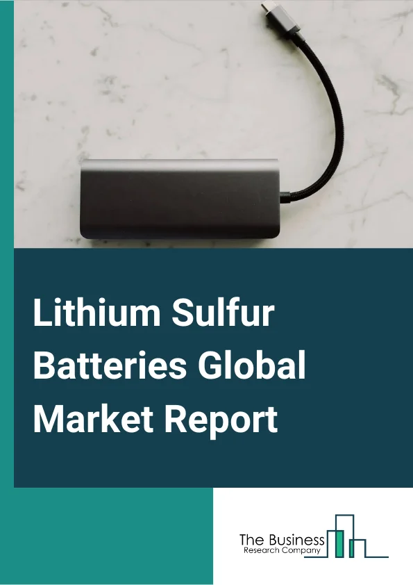 Lithium Sulfur Batteries 