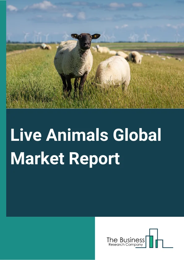Live Animals Global Market Report 2024 – By Animal Type (Cattle and Buffalo, Pig, Poultry, Sheep and Goat, Other Animals), By Distribution Channel (Business To Consumers (B2C), Business To Business (B2B)) – Market Size, Trends, And Global Forecast 2024-2033