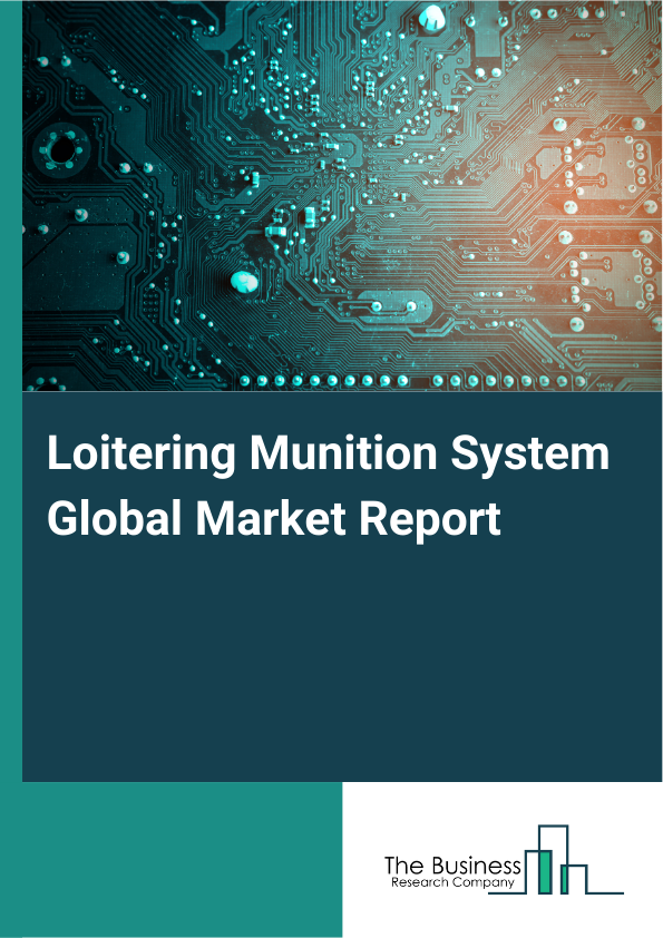 Global loitering Munition System Market Report 2025