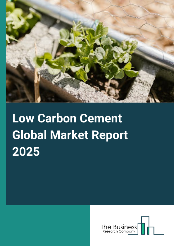 Low Carbon Cement Market Report Infographic Image