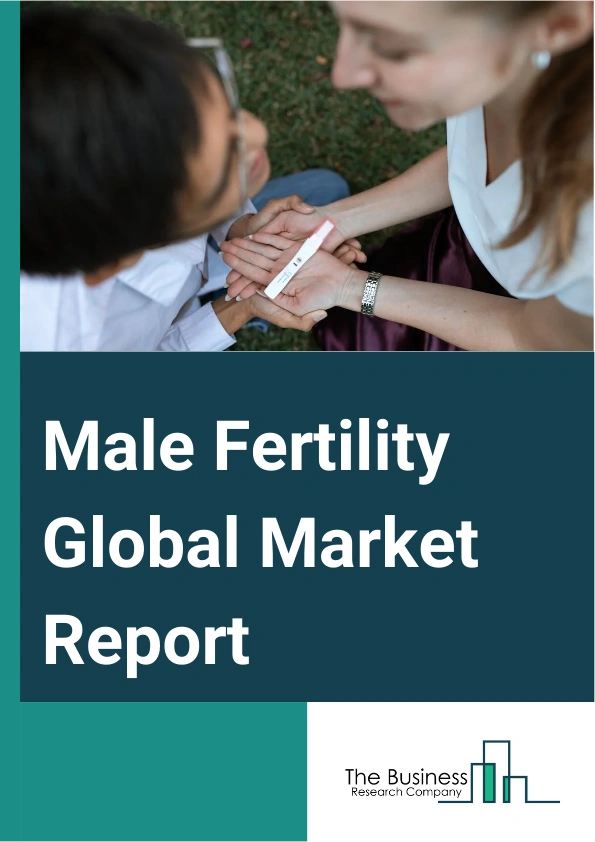 Male Fertility Global Market Report 2024 – By Test Type (Sperm Agglutination, DNA Fragmentation Technique, Oxidative Stress Analysis, Computer Assisted Semen Analysis, Sperm Penetration Assay, Other Test Types), By Treatment Type ( Assisted Reproductive Technology, Varicocele Surgery, Medication), By Supplement (Antioxidants, Vitamins, Minerals, Amino Acids, Enzymes), By End User (Hospitals And Clinics, Fertility Centers, Research Institutes, Other End Users) – Market Size, Trends, And Global Forecast 2024-2033