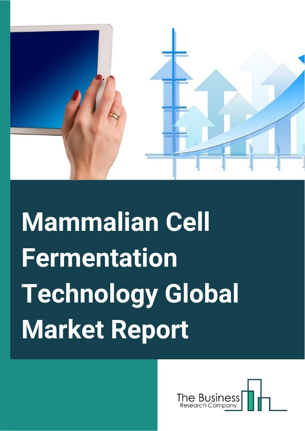 Mammalian Cell Fermentation Technology Global Market Report 2025 – By Type (Chinese Hamster Ovary Cell Fermentation, Human Embryonic Kidney Cell Fermentation, Baby Hamster Kidney Cell Fermentation, Murine Myeloma Cell Fe...