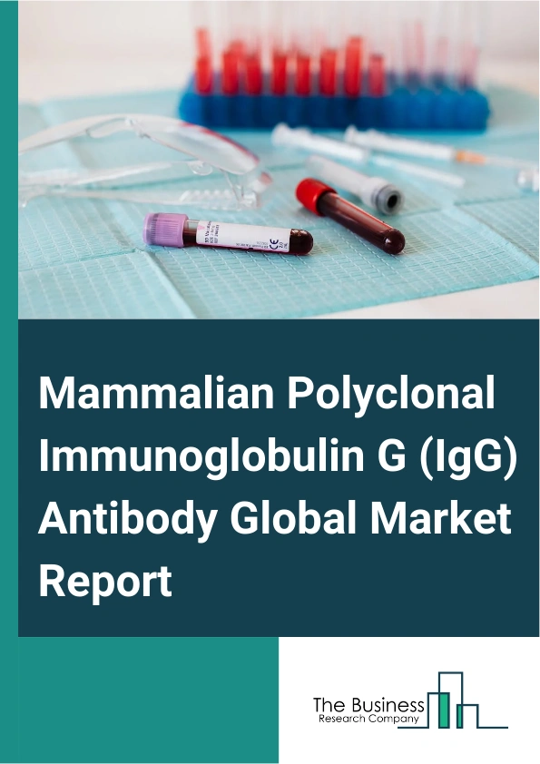 Mammalian Polyclonal Immunoglobulin G (IgG) Antibody Global Market Report 2025 – By Product (Cardiac Markers, Metabolic Markers, Renal Markers, Other Products), By Type (Goat, Rabbit, Horse, Mouse, Other Types), By Appli...