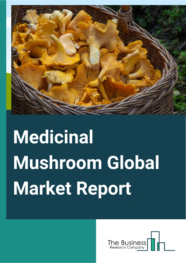 Medicinal Mushroom