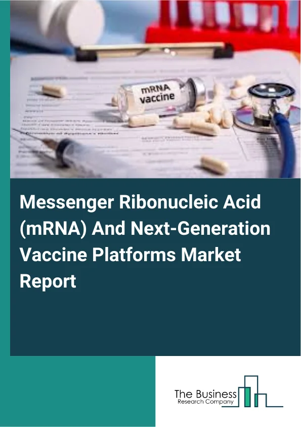 Messenger Ribonucleic Acid (mRNA) And Next-Generation Vaccine Platforms Market Report Infographic Image
