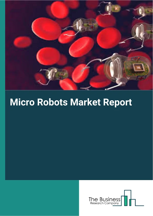 Micro Robots Market Report Infographic Image