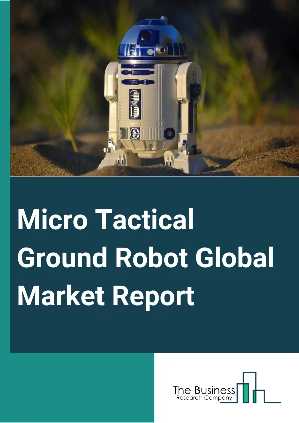 Micro Tactical Ground Robot