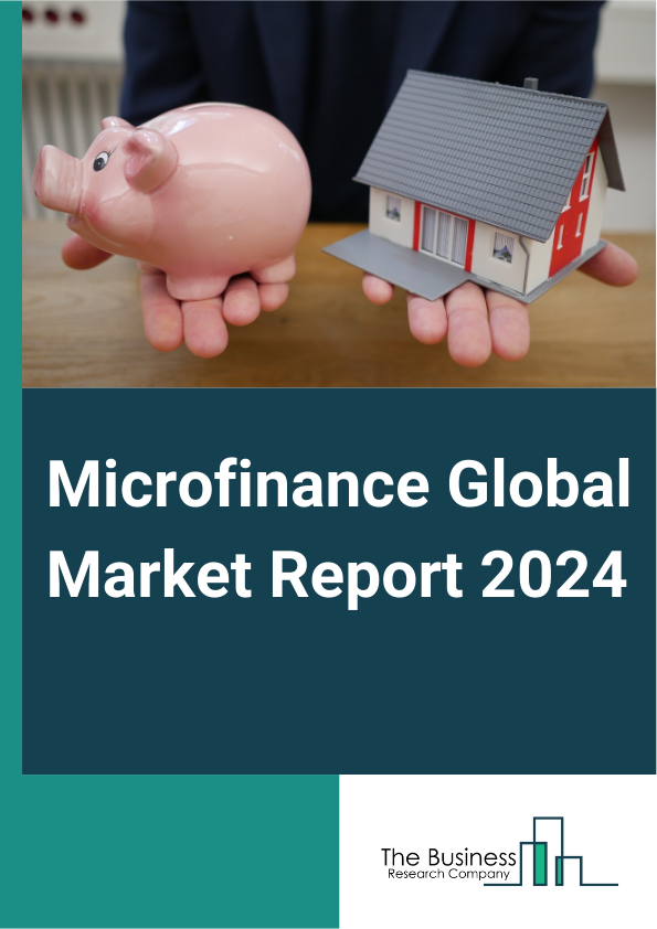 Global Microfinance Market Report 2025