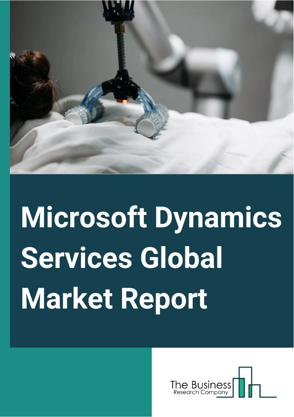 Microsoft Dynamics Services Market Report Infographic Image