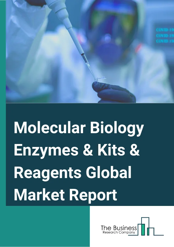 Molecular Biology Enzymes & Kits & Reagents Global Market Report 2025 – By Product( Kits and Reagents, Enzymes, Polymerases, Ligases, Restriction Endonucleases, Reverse Transcriptases, Other Enzymes), By Application( Sequencing, Cloning, PCR, Epigenetics, Restriction Digestion, Other Applications), By End Users( Academic and Research Institutes, Pharmaceutical and Biotechnology companies, Hospitals and Diagnostic Centers, Other End Users) – Market Size, Trends, And Global Forecast 2025-2034