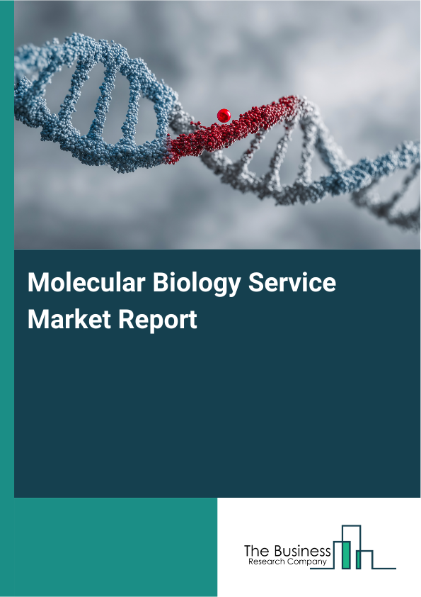 Molecular Biology Service Market Report Infographic Image