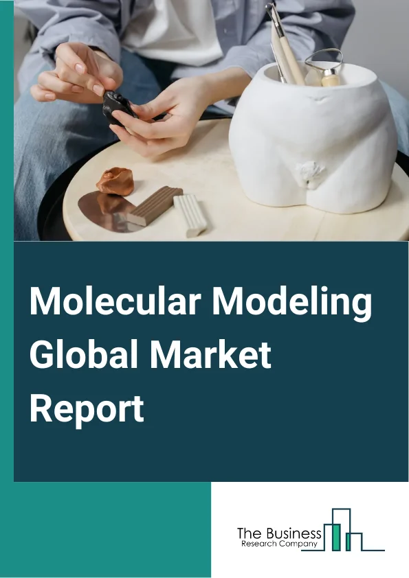 Global Molecular Modeling Market Report 2025