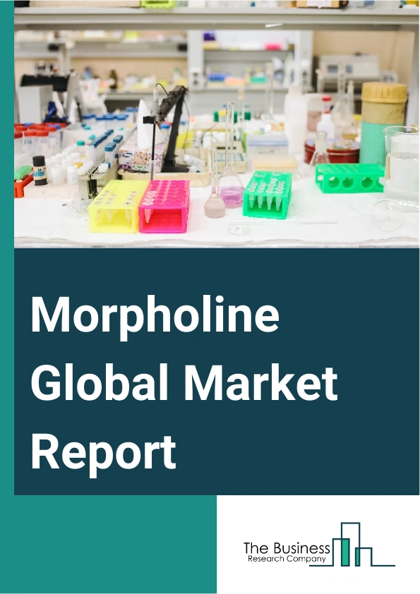 Morpholine Global Market Report 2024 – By Manufacturing Method (Diethanolamine Method, Diethylene Glycol Method), By Application ( Rubber Additives, Corrosion Inhibitor, Optical Polishing AIDS, Morpholine Derivatives, Other Applications), By End User (Chemical, Pharmaceutical, Textile, Agriculture, Personal Care, Food And Beverages, Pharmaceuticals, Water Treatment, Other End Users) – Market Size, Trends, And Global Forecast 2024-2033