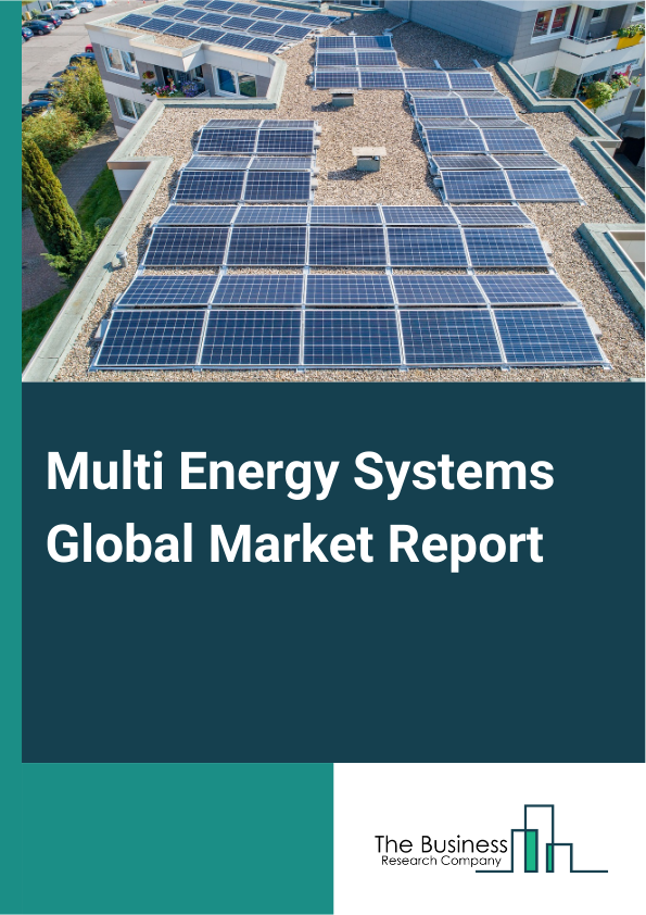 Multi Energy Systems