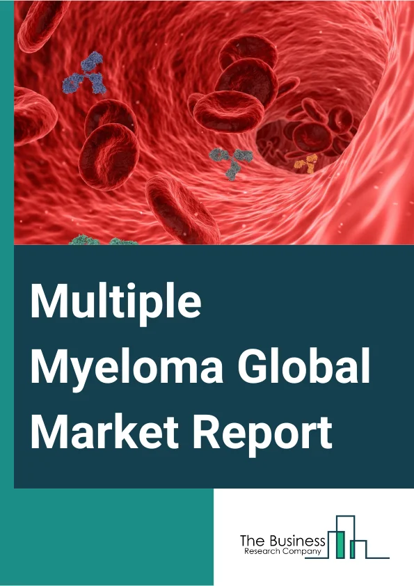 Multiple Myeloma Global Market Report 2024 – By Treatment (Medications, Radiation Therapy, Stem Cell Transplant, Other Treatments), By Diagnosis (Blood Tests, Bone Marrow Biopsy, Urine Tests, Imaging Tests), By Disease Type (Active Multiple Myeloma, Smoldering Multiple Myeloma), By Distribution Channel (Hospital Pharmacy, Retail Pharmacy, Online Pharmacy, Other Channels) – Market Size, Trends, And Global Forecast 2024-2033