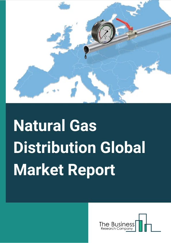 Natural Gas Distribution Global Market Report 2024 – By Type (Industrial And Commercial Natural Gas Distribution, Household Natural Gas Distribution), By Type of Operator (Public Operator, Private Operator), By End User (Residential, Automotive, Domestic, Industrial, Other End Users) – Market Size, Trends, And Global Forecast 2024-2033