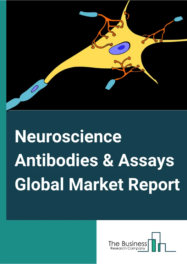 Neuroscience Antibodies & Assays   