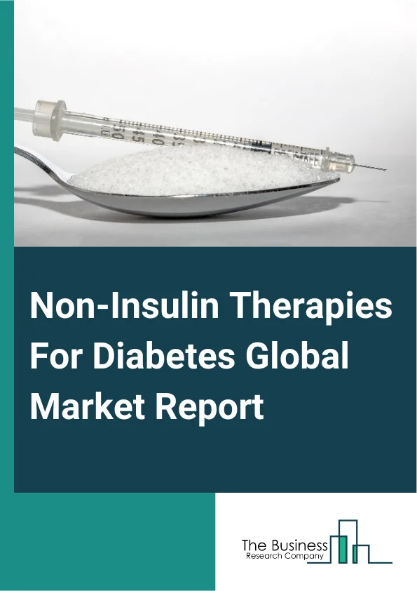 Global Non-Insulin Therapies For Diabetes Market Report 2025