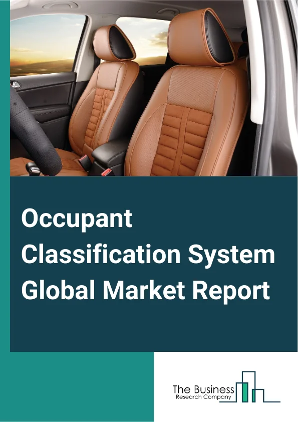 Occupant Classification System