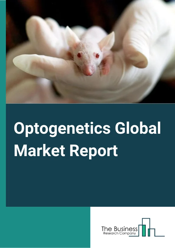 Optogenetics Global Market Report 2024 – By Product (Lasers, Actuators, Sensors), By Application (Neuroscience, Behavioral Tracking, Retinal Disease Treatment, Other Applications), By End User (Hospitals And Clinics, Diagnostics Centers, Research Centers, Other End Users) – Market Size, Trends, And Global Forecast 2024-2033