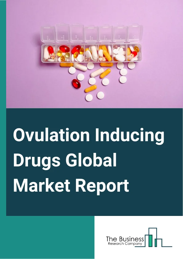 Ovulation Inducing Drugs Global Market Report 2025 – By Drug Class (Hormones, Therapeutics Drugs), By Route Of Administration (Oral, Parenteral, Other Routes Of Administration), By End-User (Hospital, Homecare, Specialty Clinics, Other End-Users) – Market Size, Trends, And Global Forecast 2025-2034