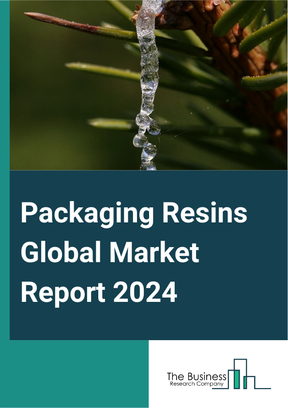 Global Packaging Resins Market Report 2025