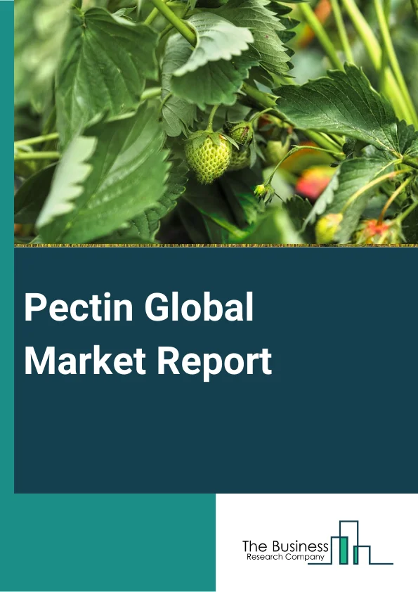 Pectin Global Market Report 2024 – By Type (HM Pectin, LM Pectin), By Function (Thickener, Stabilizer, Gelling agent, Fat replacer, Other Functions), By Raw Material (Citrus Fruits, Apples, Sugar Beet), By Distribution Channel (Direct, Indirect), By Application (Food And Beverage, Pharmaceuticals, Bakery, Dairy Products, Other Applications) – Market Size, Trends, And Global Forecast 2024-2033