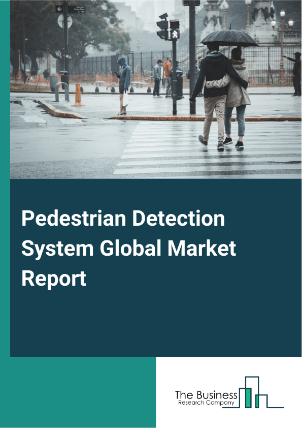 Pedestrian Detection System