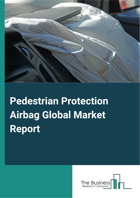 Global Pedestrian Protection Airbag Market Report 2025