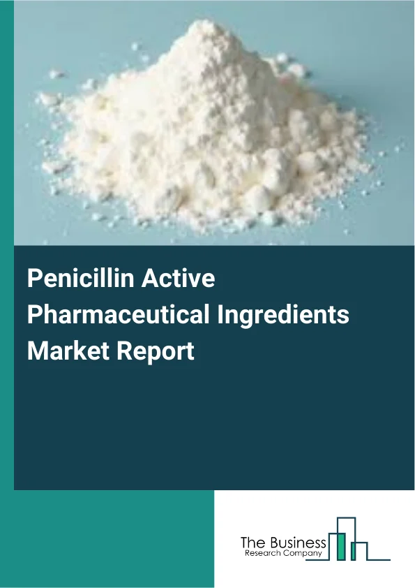 Penicillin Active Pharmaceutical Ingredients Market Report Infographic Image