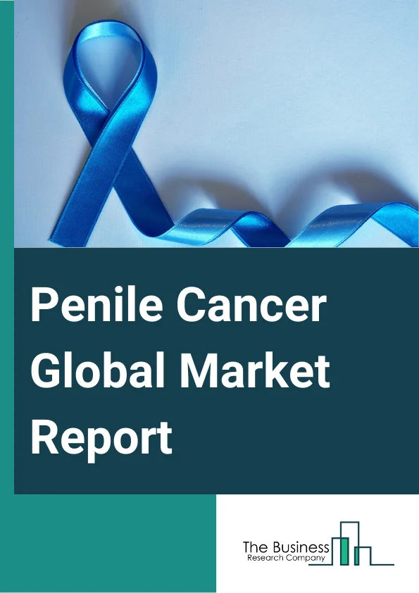 Penile Cancer Global Market Report 2025 – By Type (Squamous Cell Cancer Of Penis, Aden Carcinoma Of Penis, Melanoma Of The Penis, Basal Cell Cancer Of Penis, Sarcoma Of Penis), By Type Of Therapy (Radiation Therapy, Chemotherapy, Biological Therapy, Surgery), By Diagnostic Test (Biopsy, Ultrasound, Imaging Tests), By Application (Hospital, Clinics, Other Applications) – Market Size, Trends, And Global Forecast 2025-2034