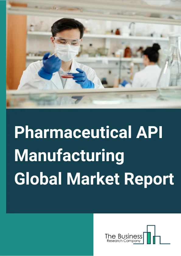 Pharmaceutical API Manufacturing
