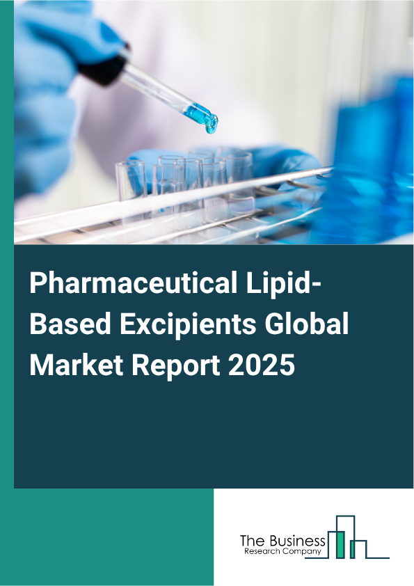 Pharmaceutical Lipid-Based Excipients Market Global Report 2026 Market Report Infographic Image