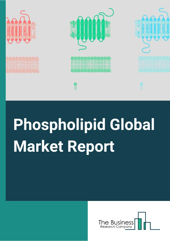 Phospholipid Global Market Report 2025 – By Type (Phosphatidic Acid, Phosphatidylglycerol, Phosphatidylethanolamine, Phosphatidylcholine, Phosphatidylserine, Phosphoinositides), By Source (Soy, Eggs, Other Sources), By Form (Powder, Granule), By Application (Nutrition and Supplements, Pharmaceuticals, Other Applications) – Market Size, Trends, And Global Forecast 2025-2034